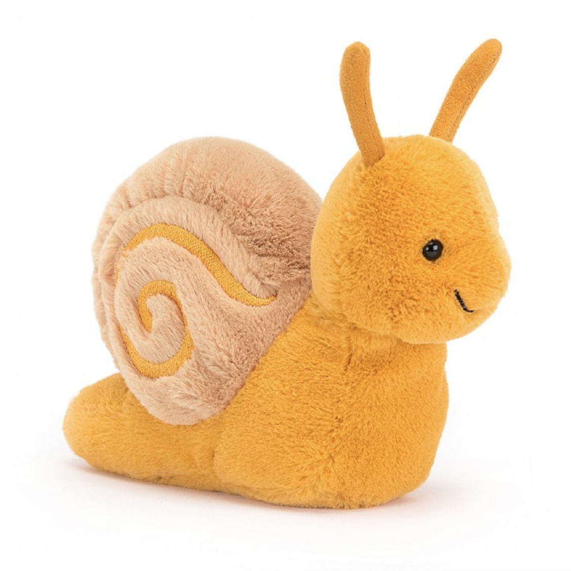 Sandy Snail