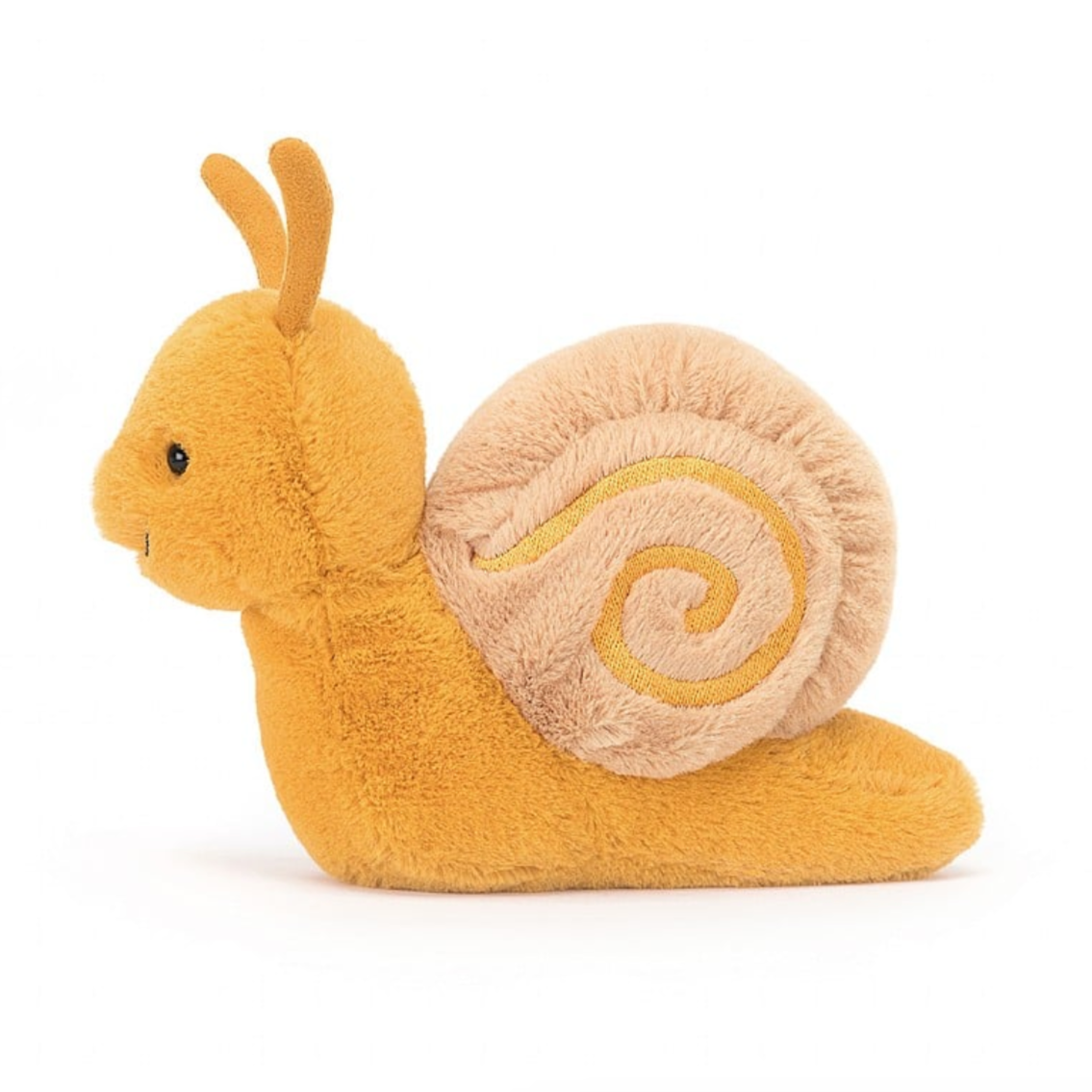 Sandy Snail