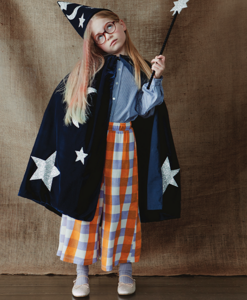 Blue Velvet Wizard/Witch Costume
