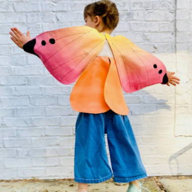 Butterfly Fairy Wings -pink (2-10yrs)