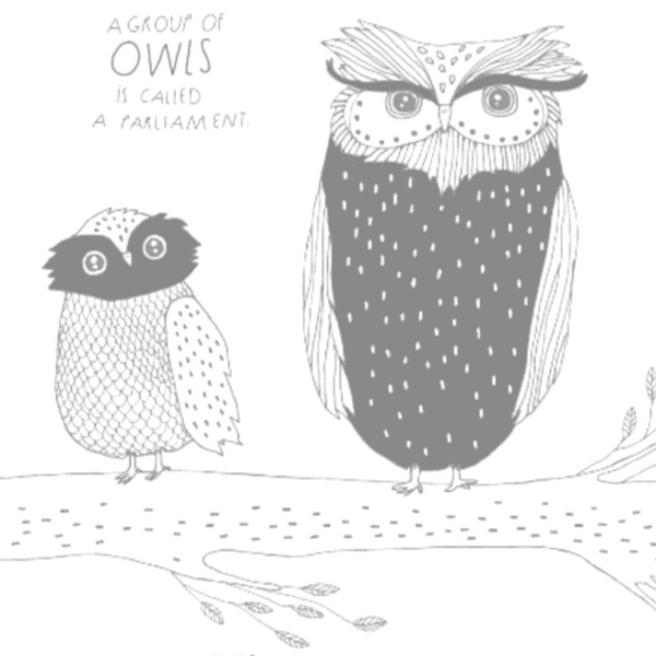 The Illustrated Compendium of Amazing Animal Facts (5-12yrs)