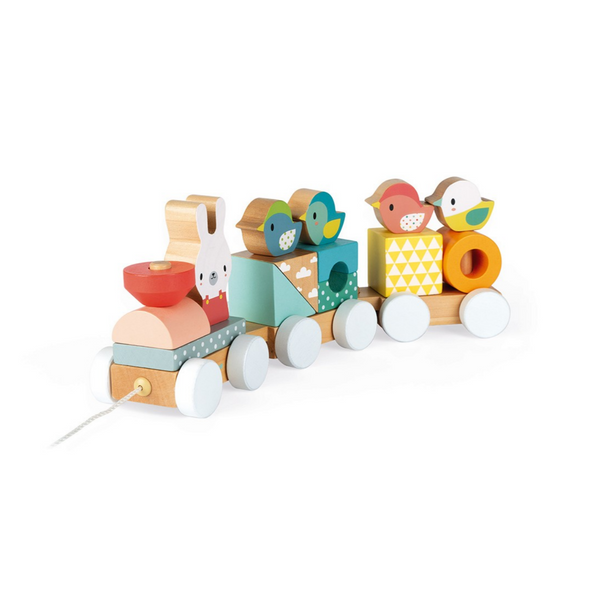 Wooden Block Train Set Pull toy