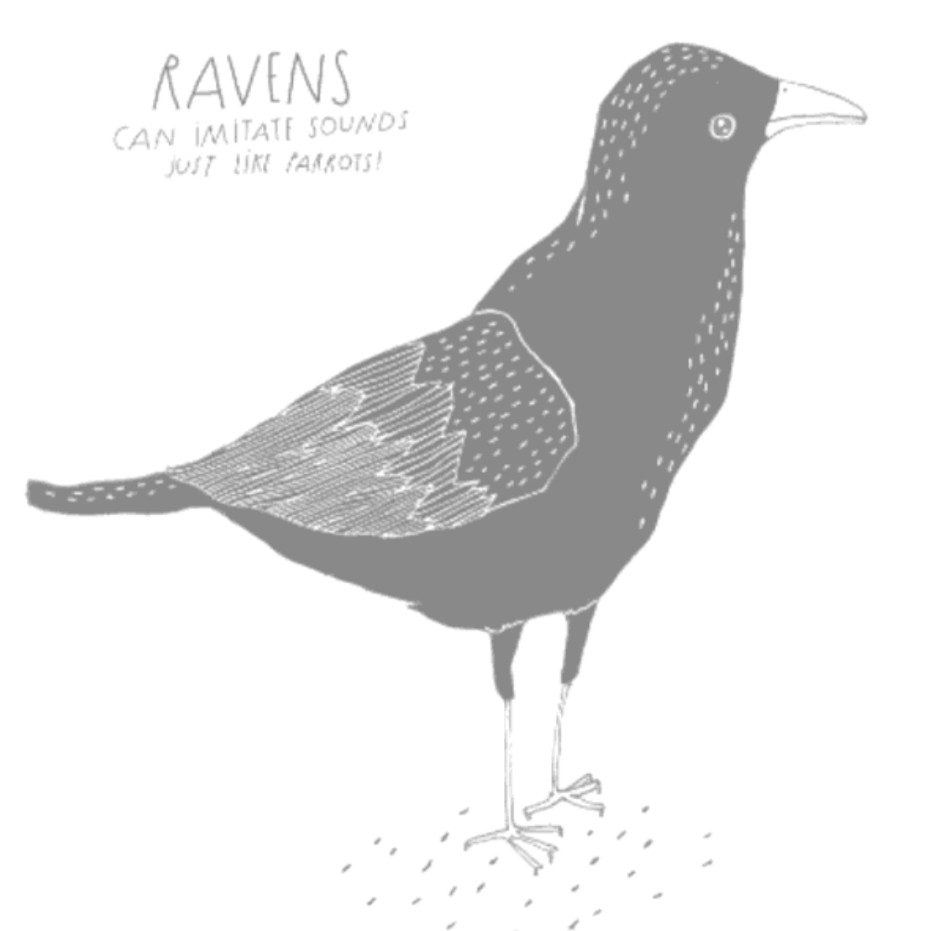 The Illustrated Compendium of Amazing Animal Facts (5-12yrs)