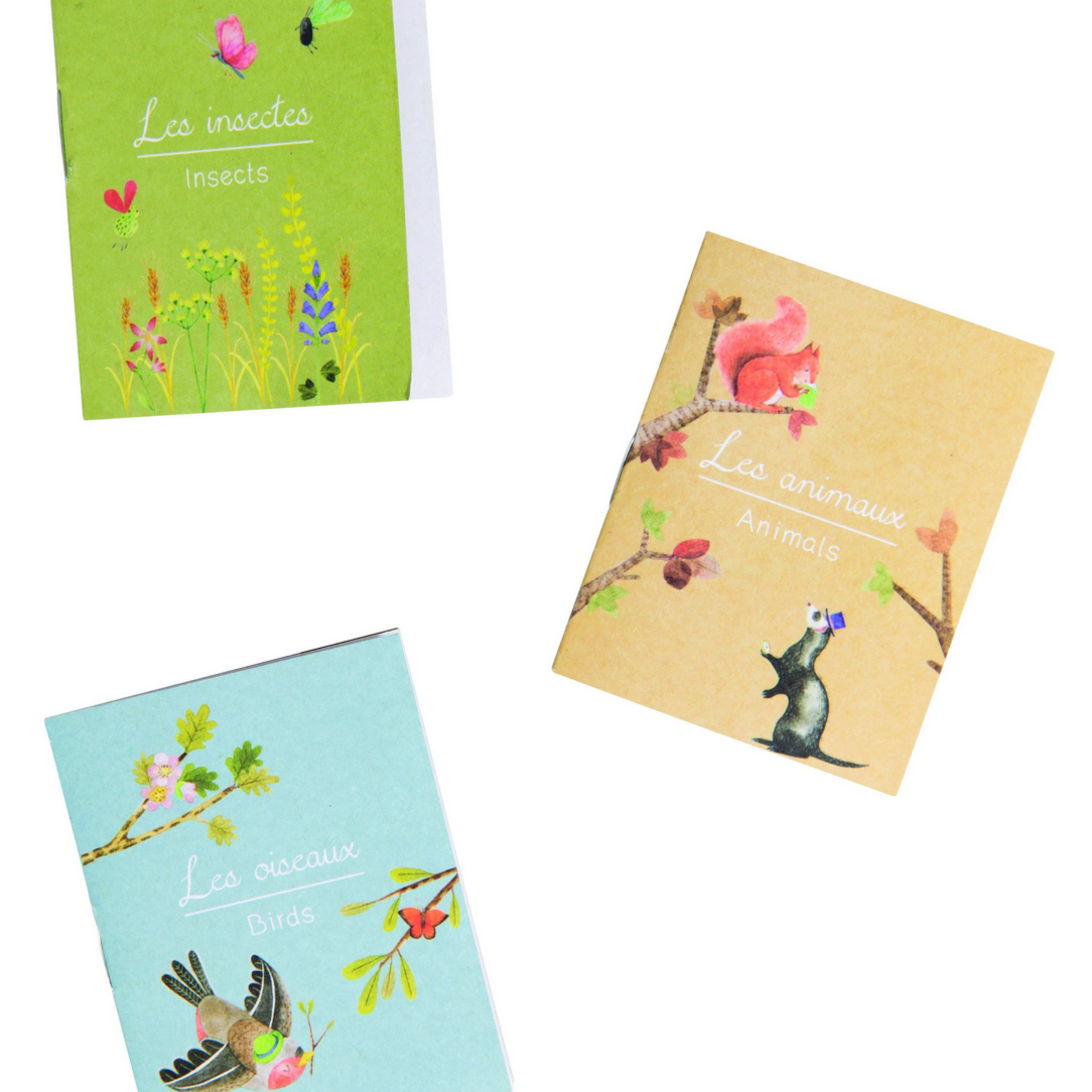 Storybook Torch -Le Jardin with 3 Mini Books 4yrs+