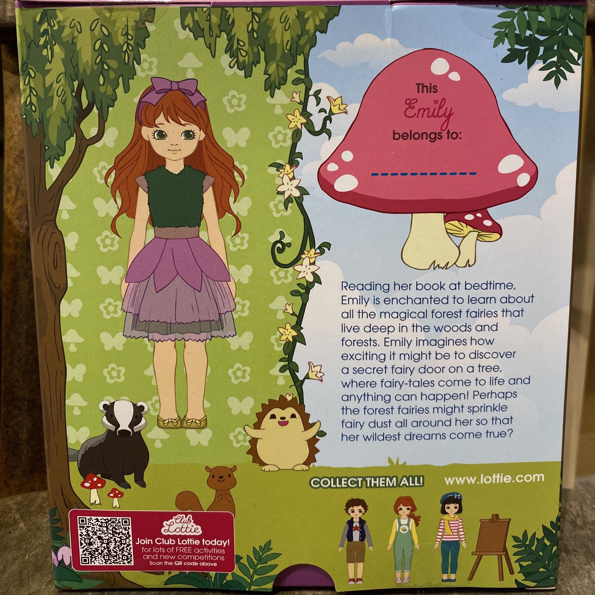 picture of back of box showing some information about the doll
